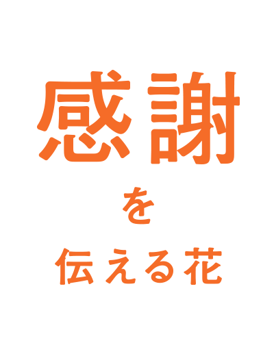 感謝を伝える花
