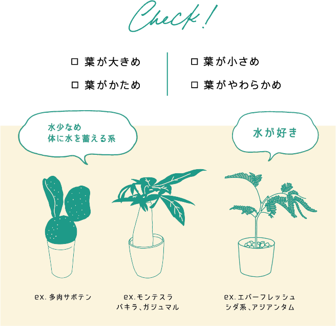 Check! 葉が大きめ　葉が小さめ　葉がかため　葉がやわらかめ
