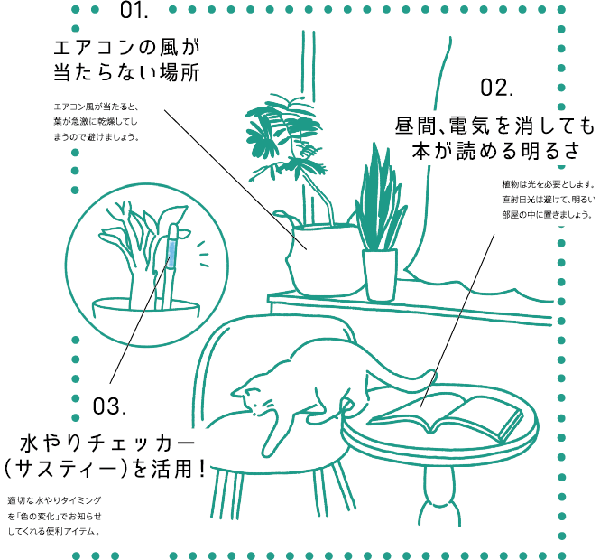01.エアコンの風が当たらない場所　02.昼間、電気を消しても本が読める明るさ　03.水やりチェッカー（サスティー）を活用！