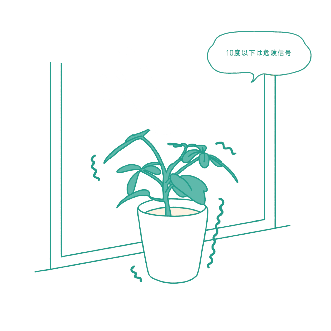 10度以下は危険信号