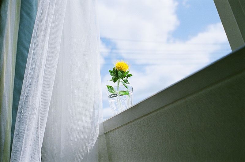 写真:あれもこれも花瓶
