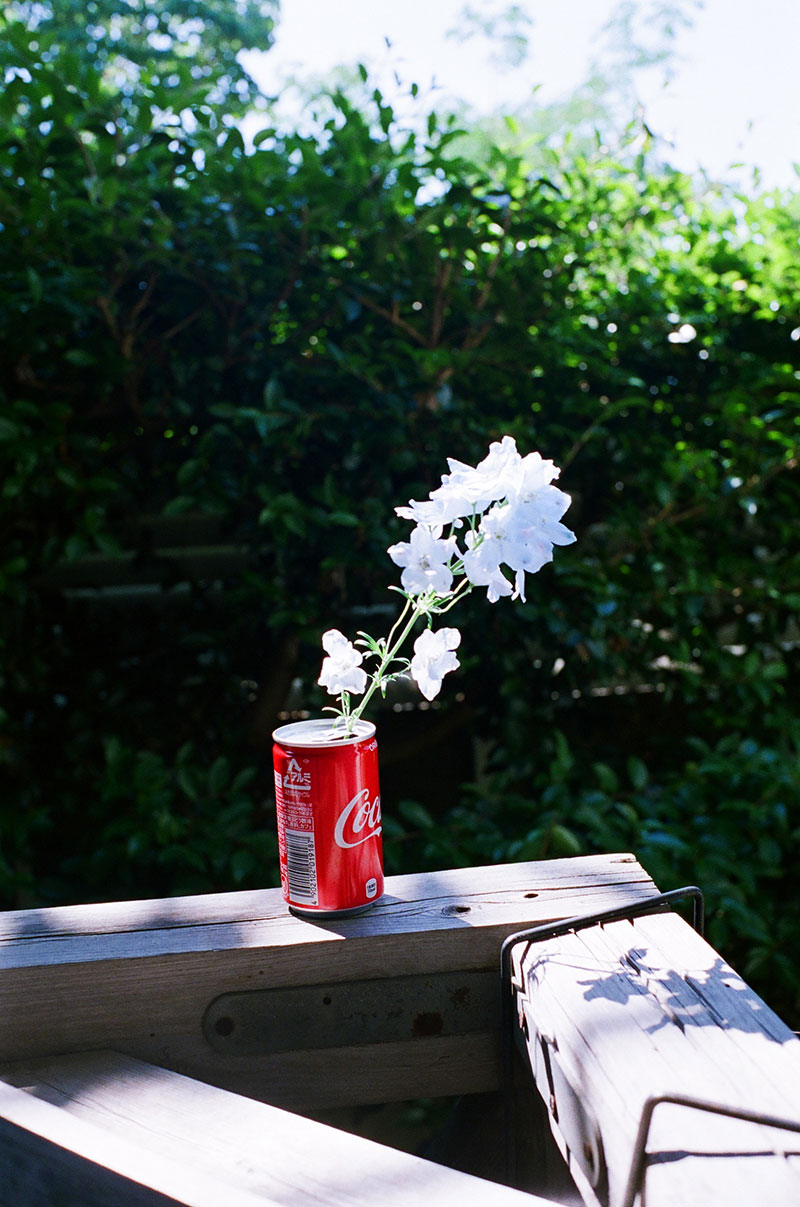 写真:あれもこれも花瓶