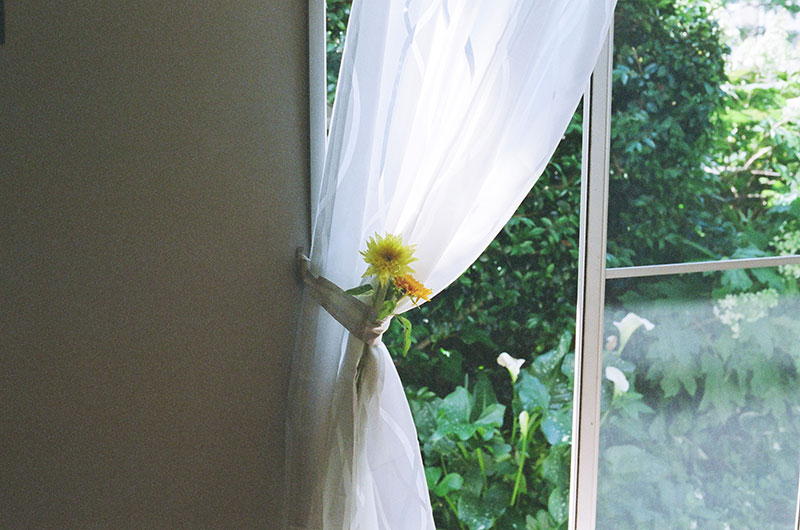 写真:あれもこれも花瓶