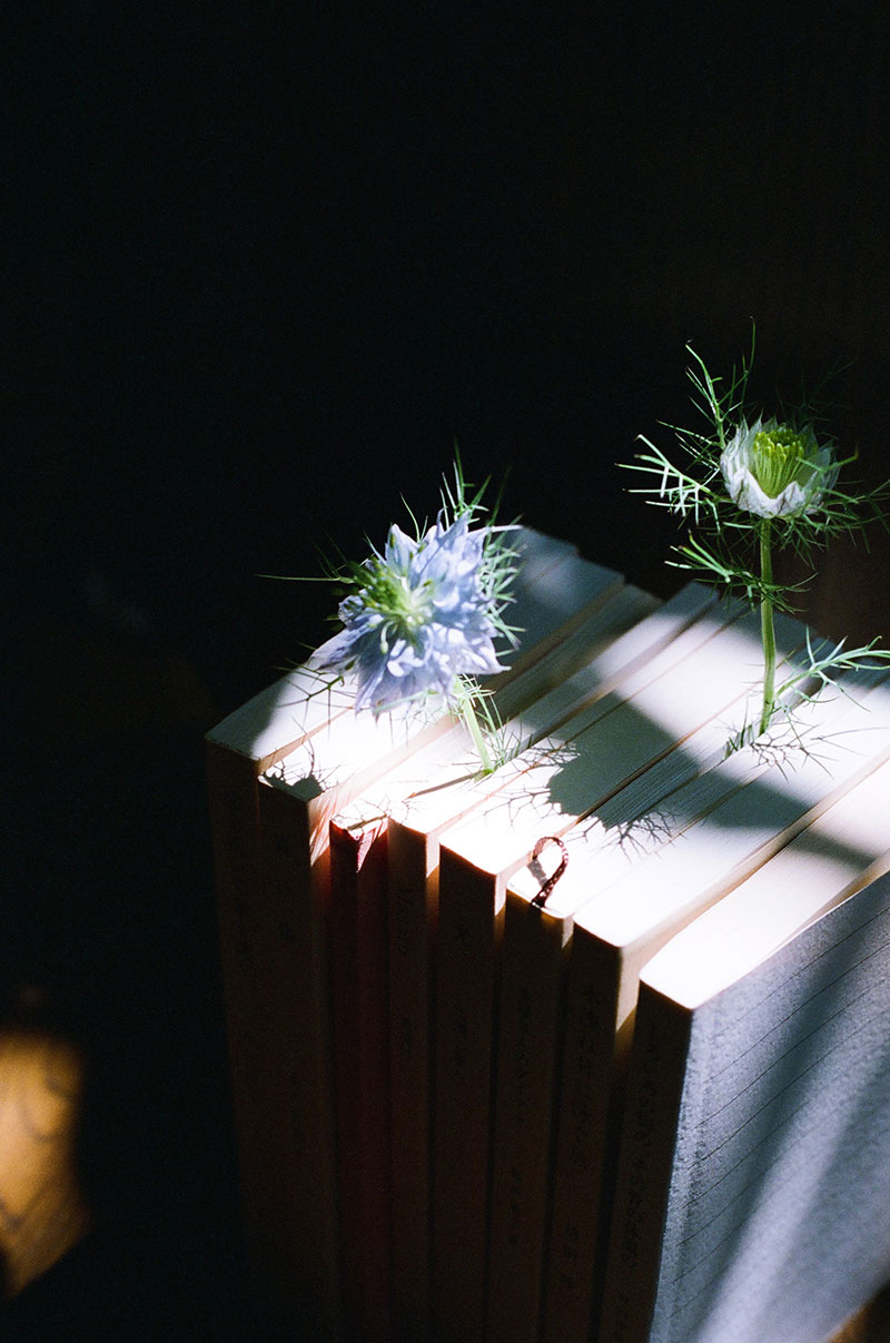 写真:あれもこれも花瓶