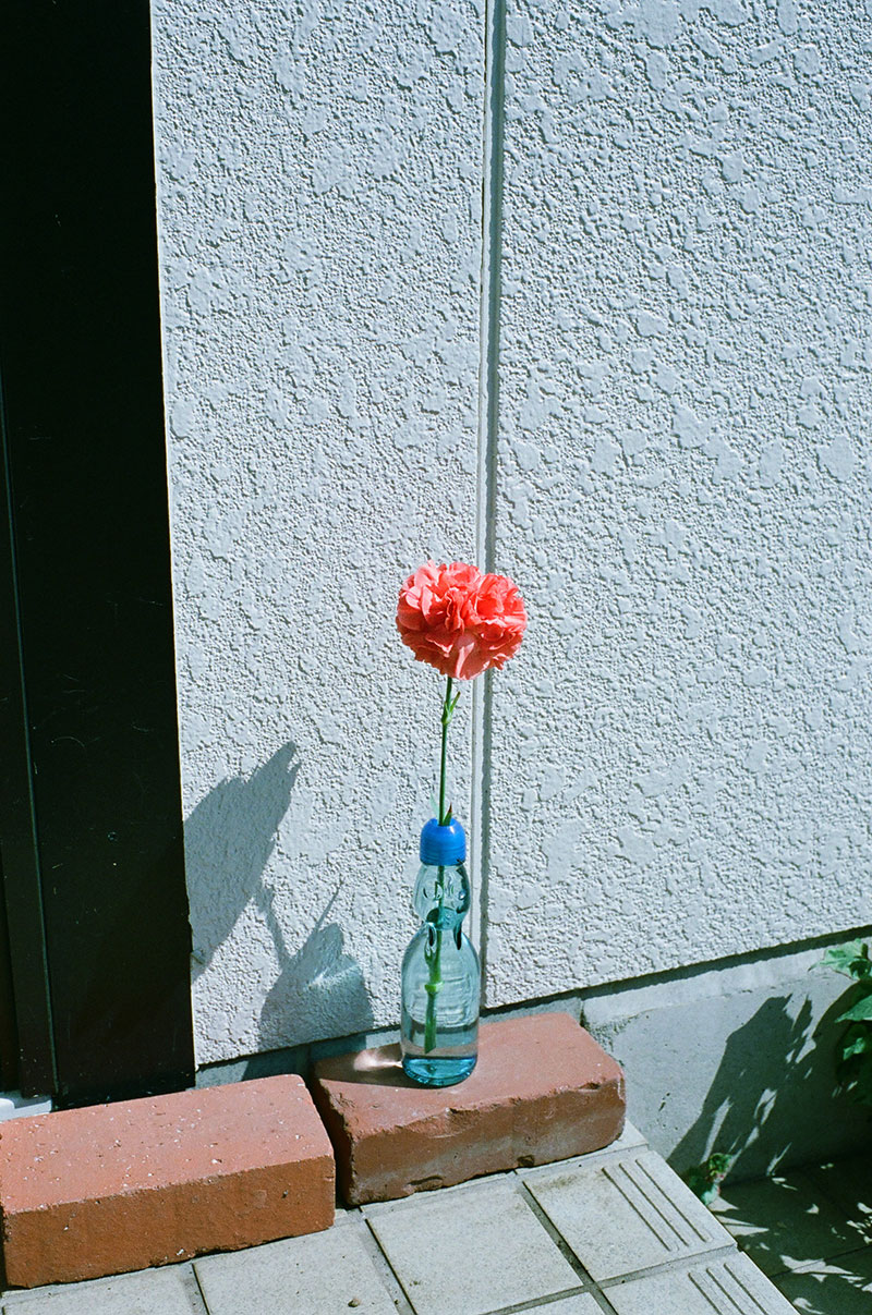 写真:あれもこれも花瓶