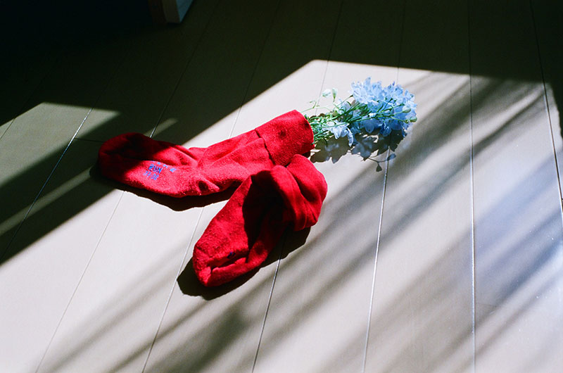 写真:あれもこれも花瓶