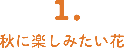 1. 秋に楽しみたい花