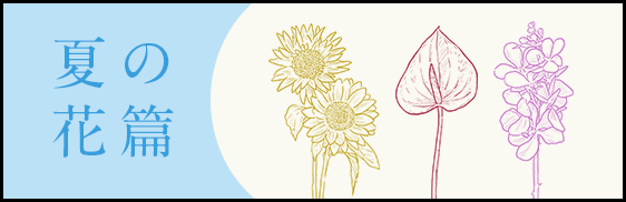 夏の花篇