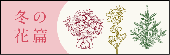 冬の花篇