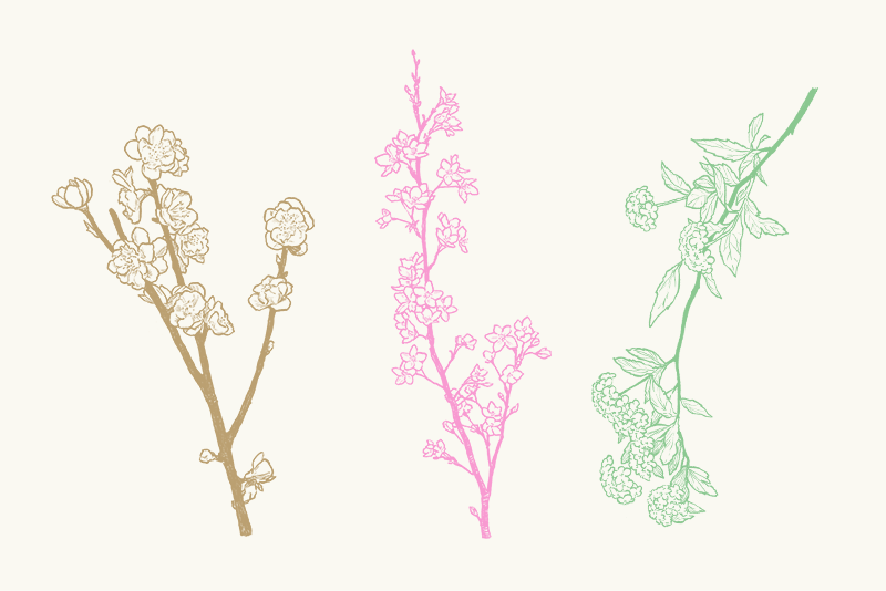 春爛漫、枝モノを飾ってみよう