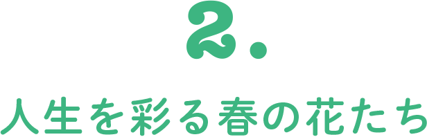2. 人生を彩る春の花たち