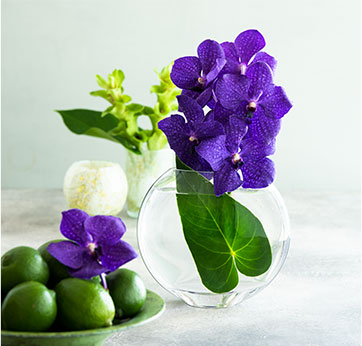 花1本+グリーン1枚だけでモダンなインテリアフラワーに