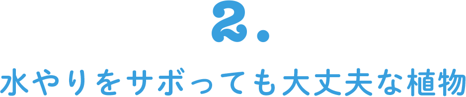 2. 水やりをサボっても大丈夫な植物